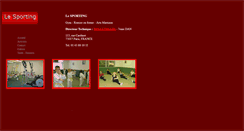 Desktop Screenshot of lesporting.fr